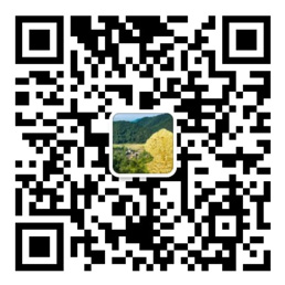 口袋牛店官方